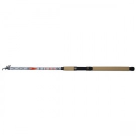 teleskopinė meškerė carp zoom tele allround 50-100g
