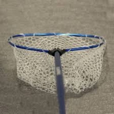 Graibštas Favorite Blue White