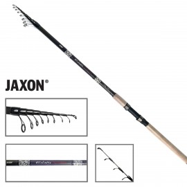 jaxon eclatis telematch tm 4.20m 5-20g