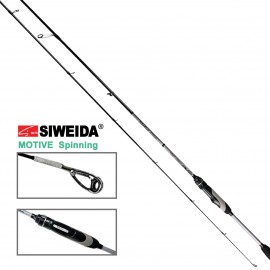 Siweida Motive Jig 213 2-11g fast